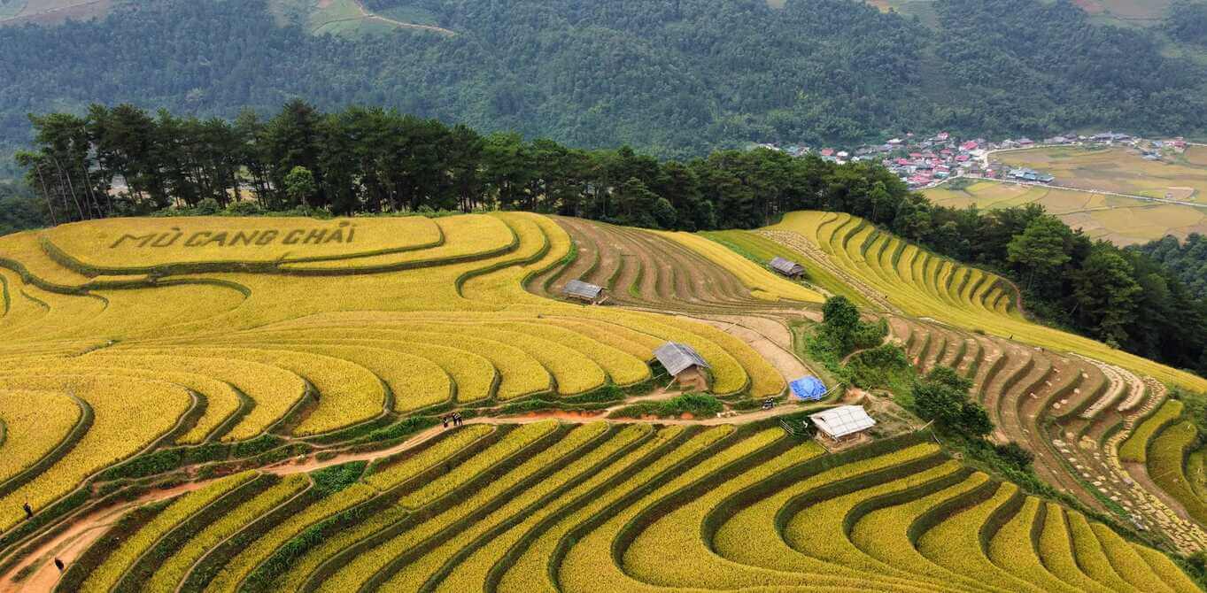 Mu Cang Chai Rice Terraces