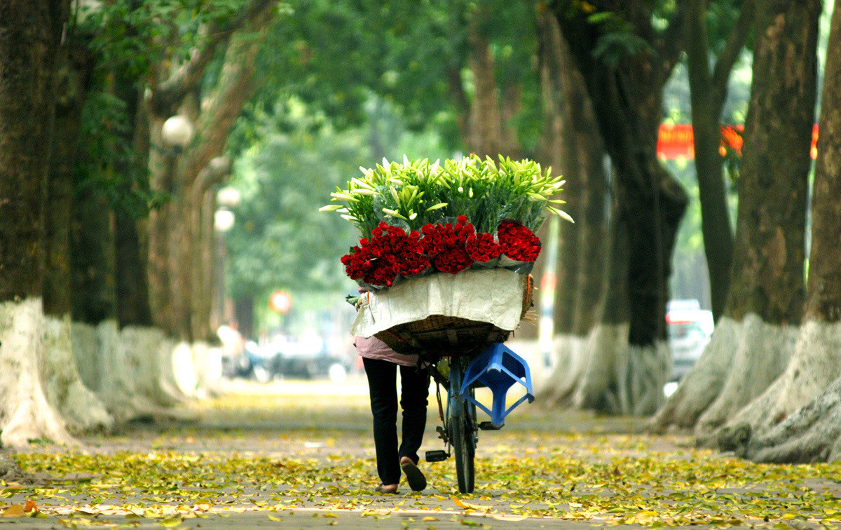 family tour in Hanoi North Vietnam