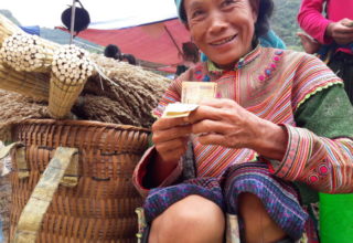 Flower Hmong in Bac ha