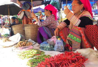 All About Sapa – North West Vietnam