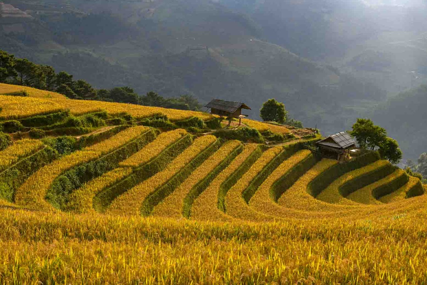 Photo tour in Mu Cang Chai